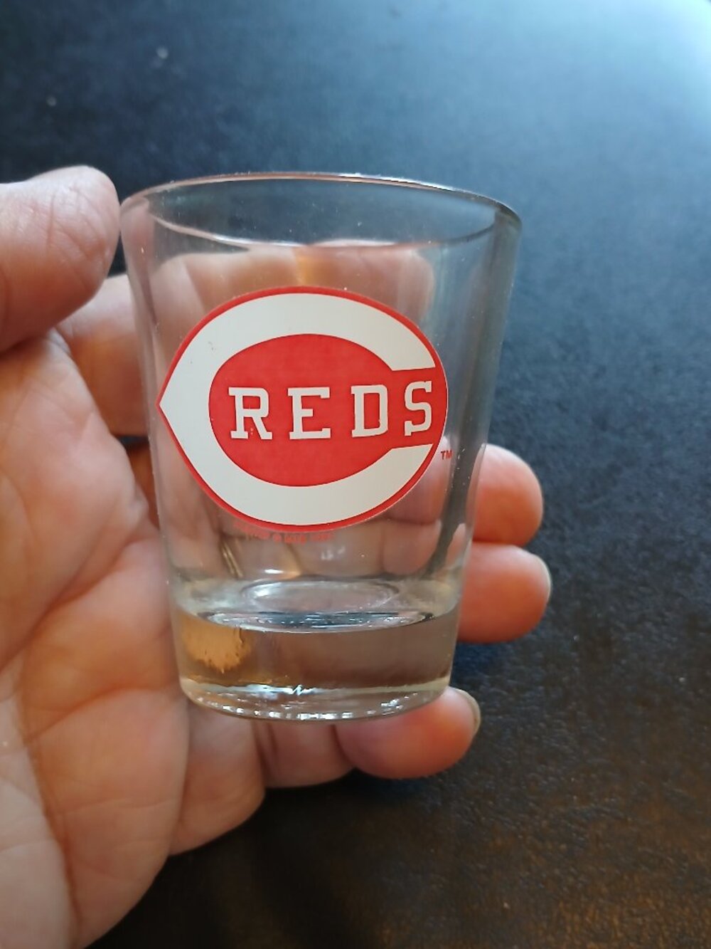 Cincinnati Reds 2 oz Shot Glass Hunter MFG MLB Baseball Collectible